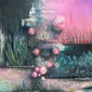 My Lost Garden