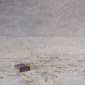The Matches