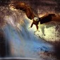 I'am a bird