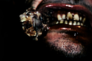 El Zoid