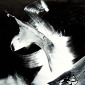 Force of Will