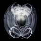 Luminescence 06