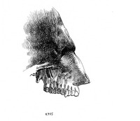 Djochkoun Sami