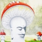 Shroomuddha