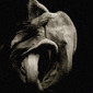 Knot.  From the series "Flowers".