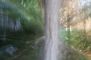 Collection Dan Diamant: Magic Garden Collection - Art prints for sale; created by Dan Diamant