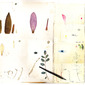 Pressed Indigo and Waterlilies (The Amateur Botanist)