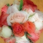 Roses Antiqua