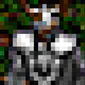 Paladin