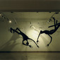 trapeze / fragment of Shadows instalation
