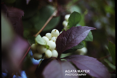 Collection Emotional Photography; created by Agata Mayer