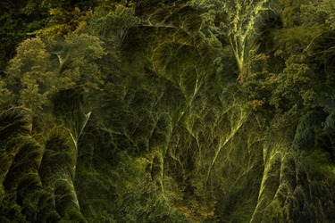 Collection greens dreams; created by Jean-michel Ammon
