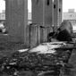 DISAPPEAR HERE #70