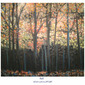 Fall