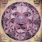 LIONHEAD MAP OF LIFE