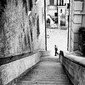Downstairs