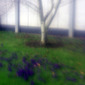 Springtime