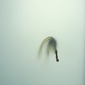 Miriam Sweeney