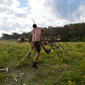 Mounting a Dead Horse (after Sydney Nolan)