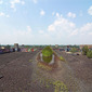 Roof Marsh - Roosevelt Warehouse