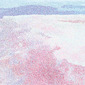 Canadian Floe