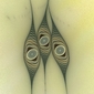Eye for the Unusual