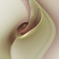 Perpetuity