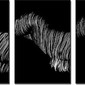 lightpainting on female body