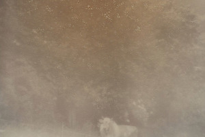 MYKO Kirschke