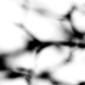 Untitled Tree #VII