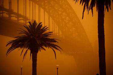 Collection Views of Sydney Harbour, Australia; created by Paul Foley