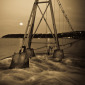 The Shark Net, Balmoral Beach, Sydney Harbour, Australia