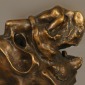nereid