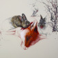 Louise McNaught