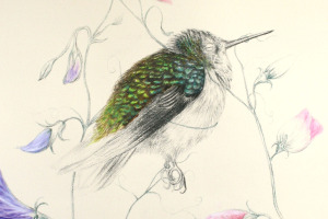 Louise McNaught