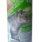 Squirrel it away