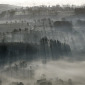 Bocage in fog.