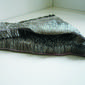 Untitled (underwear)
