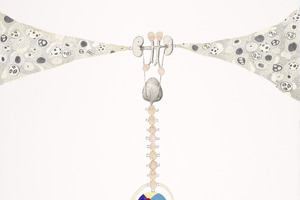 Kirsten Stolle