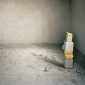 Cannibalism, from the series 'The Rate of Convergence from Two Opposing System Trajectories'