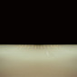 Untitled, from the series 'The Accidental Theorist'