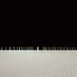 Untitled, from the series 'The Accidental Theorist'