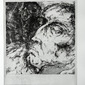 Herbert Franz