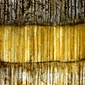 texture B56