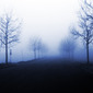 Road to the unknown