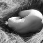 Mortal  Coil