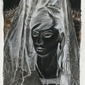 The veiled # 3 (Mantilla)