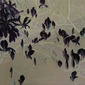 Black Spring