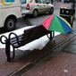 Shelter