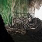 The Cave